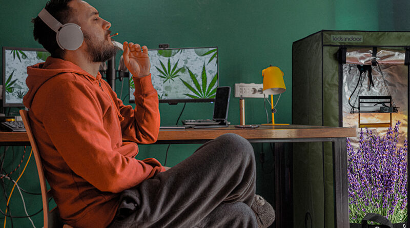 cultivo-indoor-e-geek-gamer-setup-hobby-jogos-lol-tecnologia